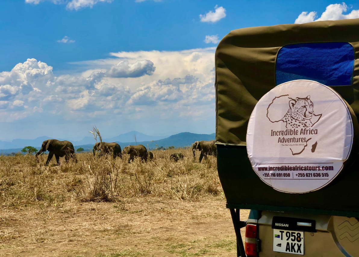 4-Day Nyerere and Mikumi Safari from Dar es Salaam