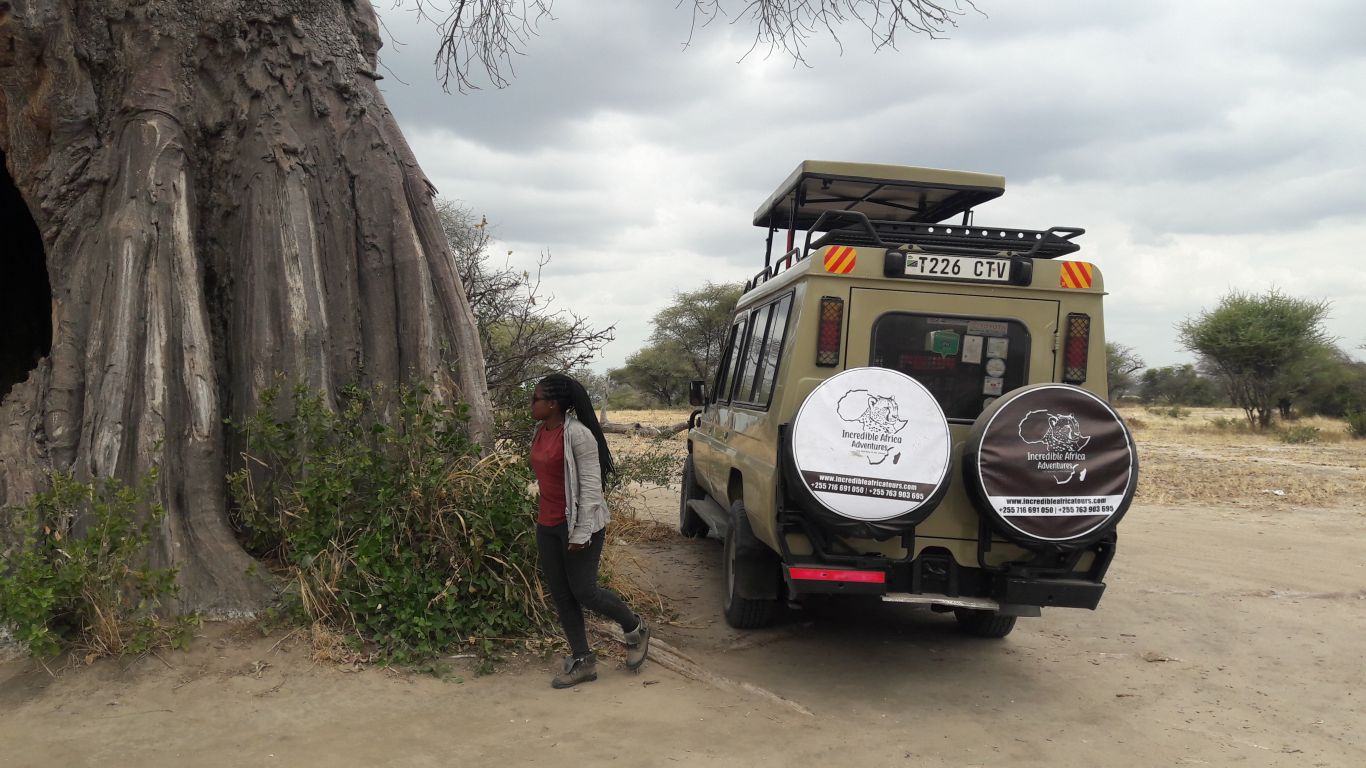 Tanzania Safari Tours