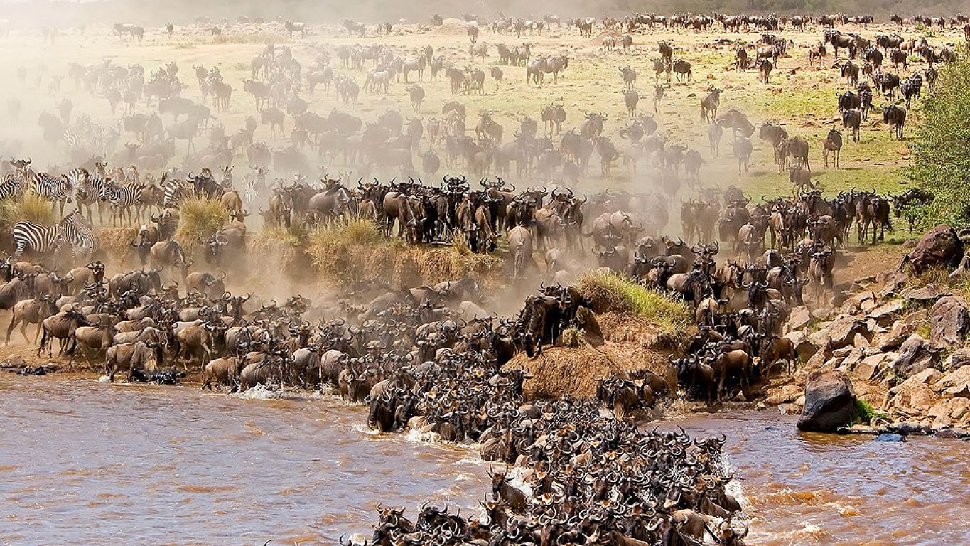 Best time For the Great Migration in Serengeti