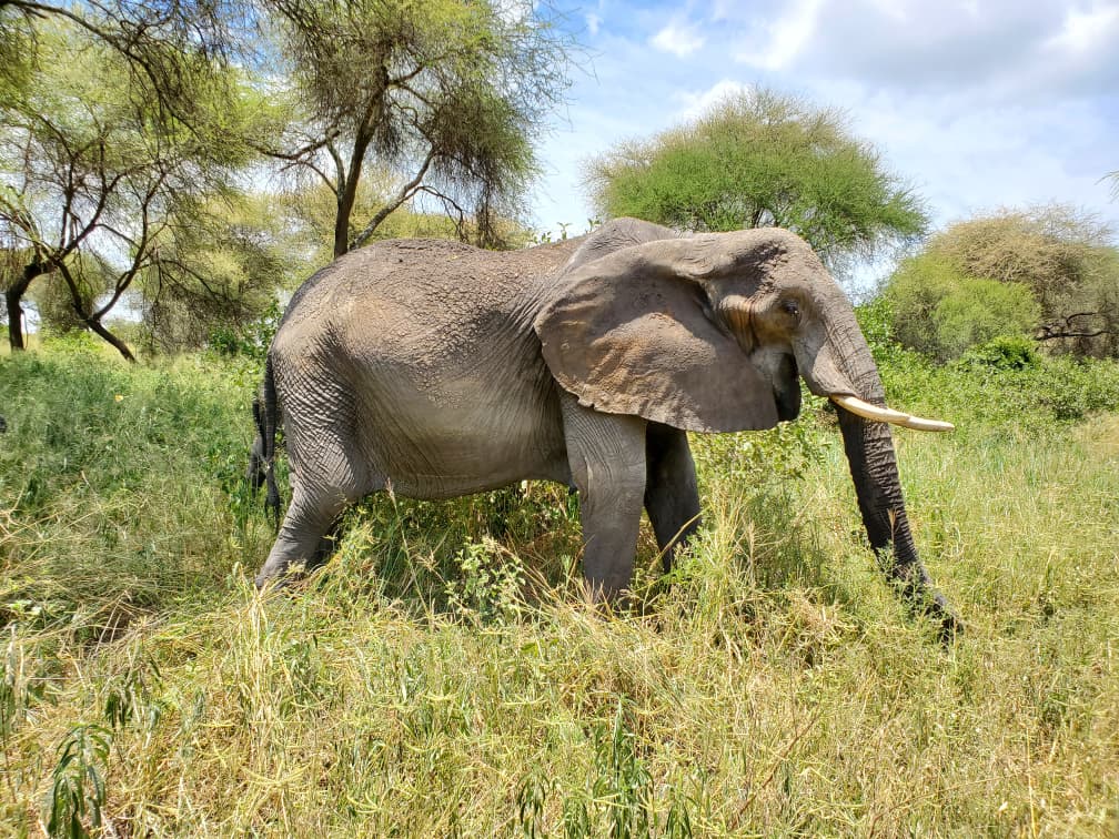Kenya