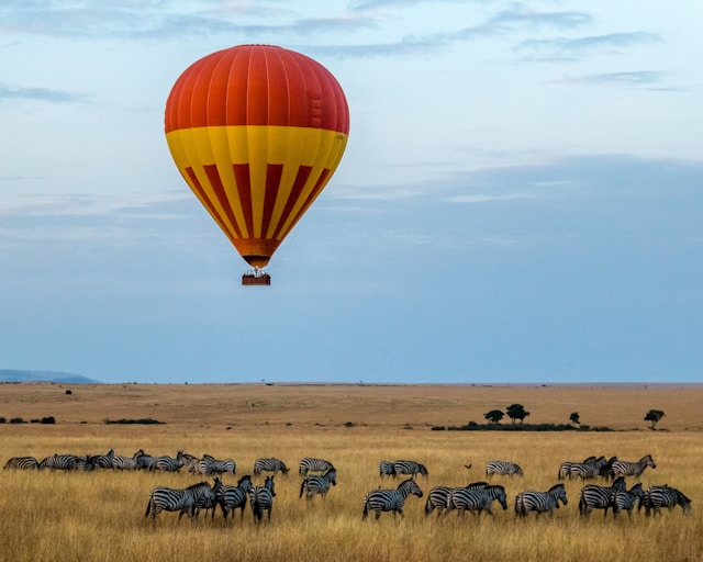 Kenya Safari tours