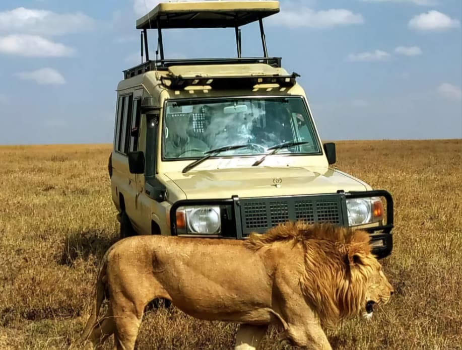 Serengeti National Park