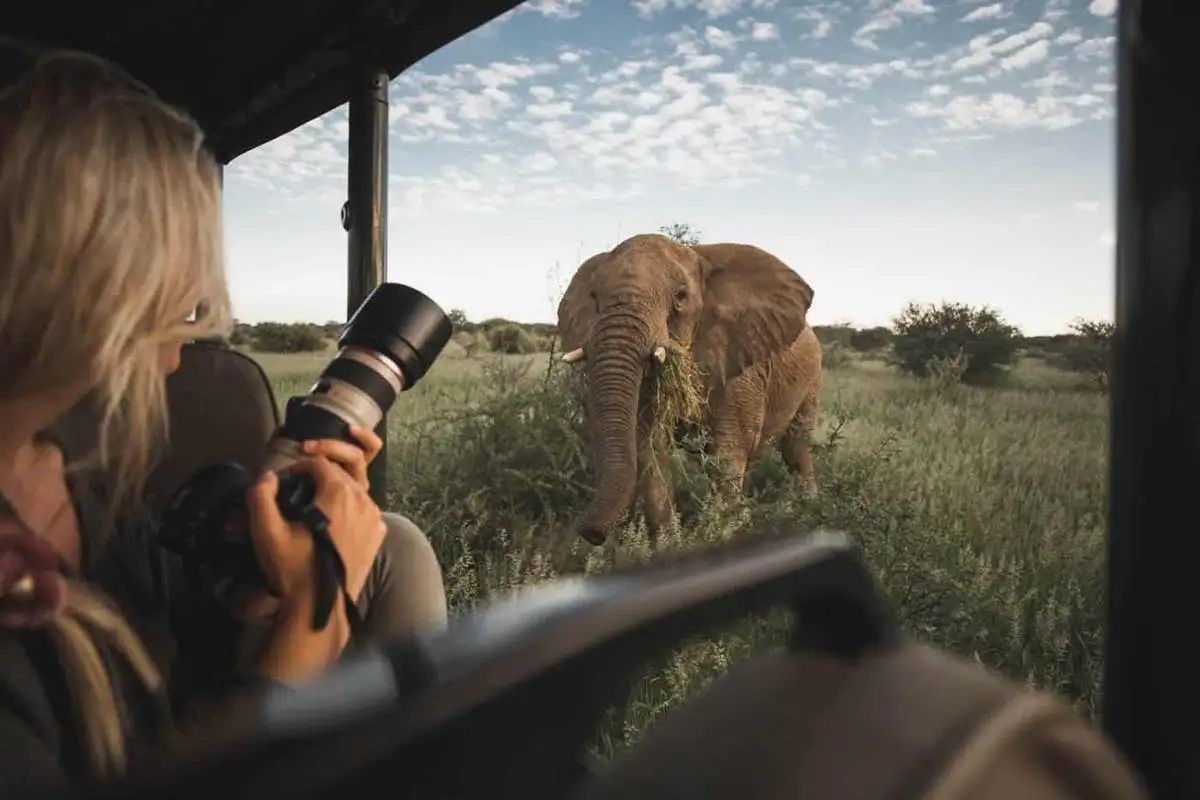 Tanzania Photographic Safaris | Best Time & Places