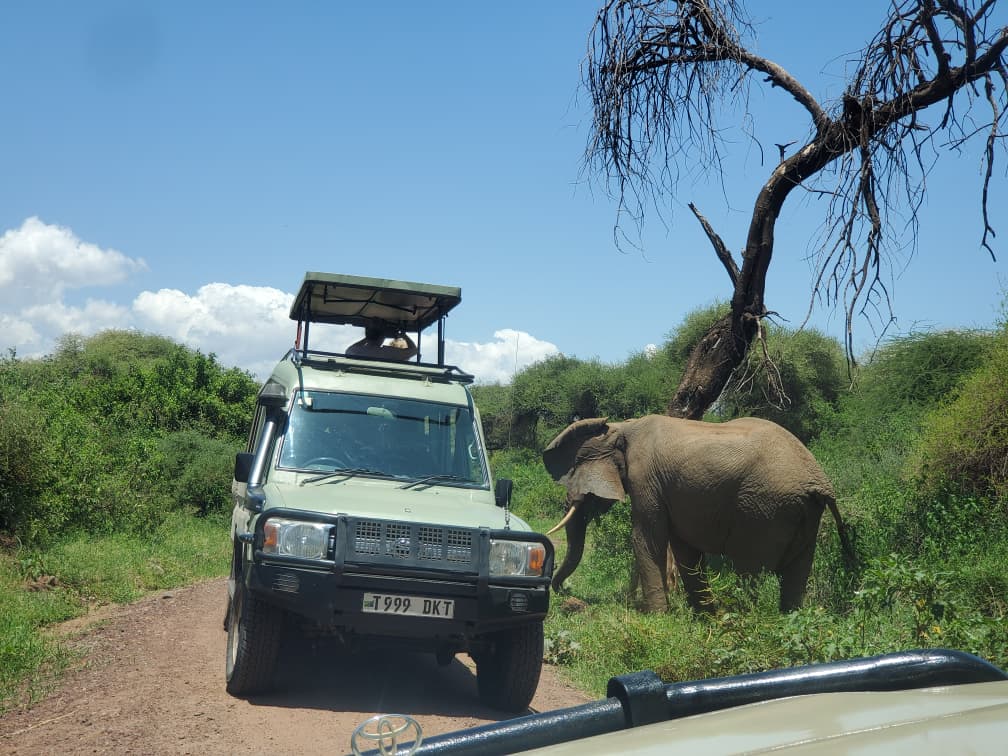 Tanzania Family Safari: Is It Safe for Kids? Complete Family Guide